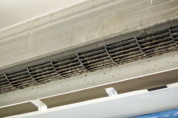 Best HVAC Duct Inspection Services  in Fayette, IA